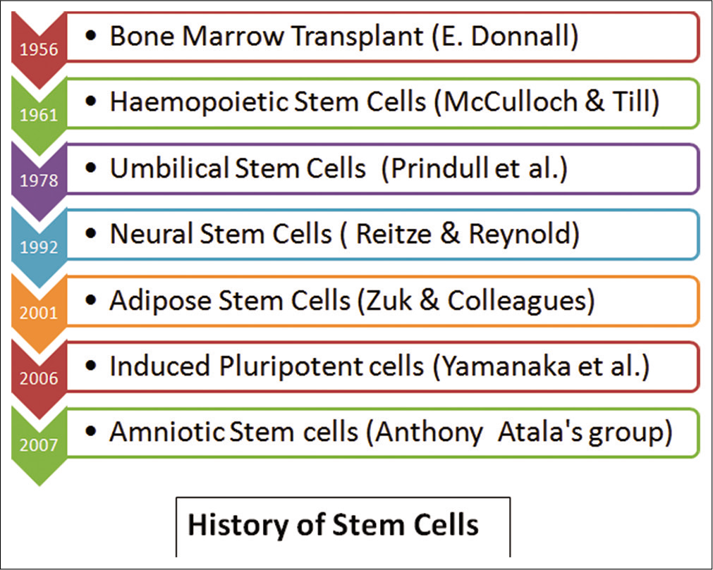 History of stem cells.