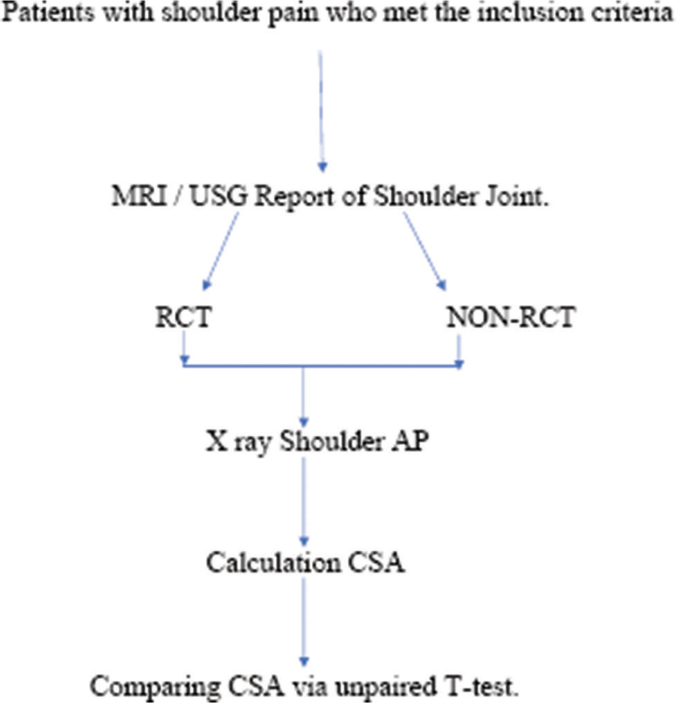 Study flow chart. RCT: Rotator cuff tear, AP: Antero-posterior view, CSA: Critical shoulder angle.