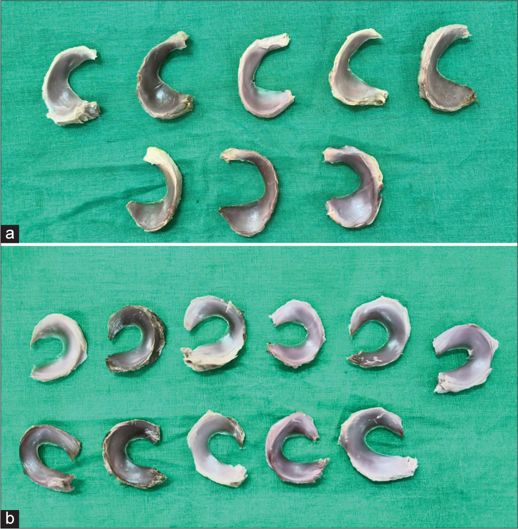 (a) Collected medial menisci. (b) Collected lateral menisci.